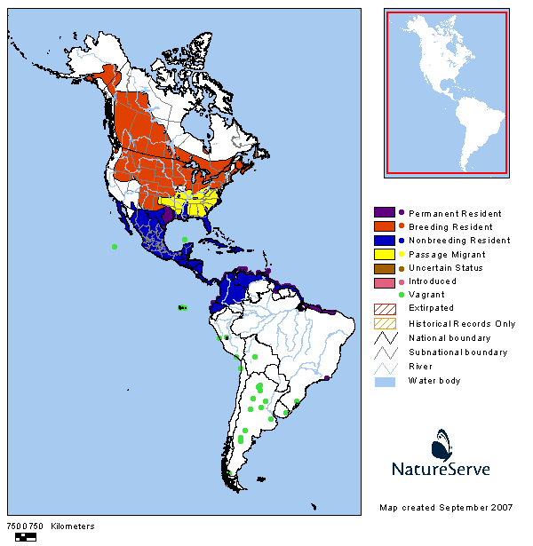 Blue-winged Teal Range Map