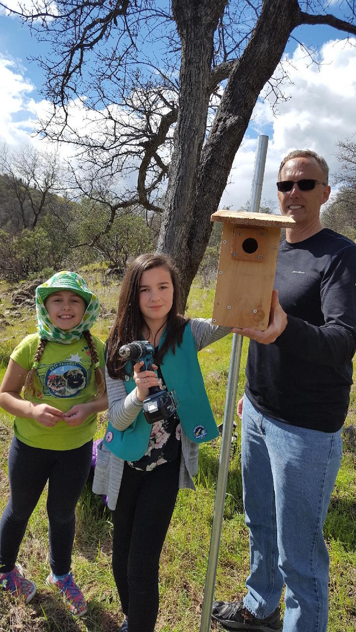 Girl Scouts Installing Bluebird Boxes