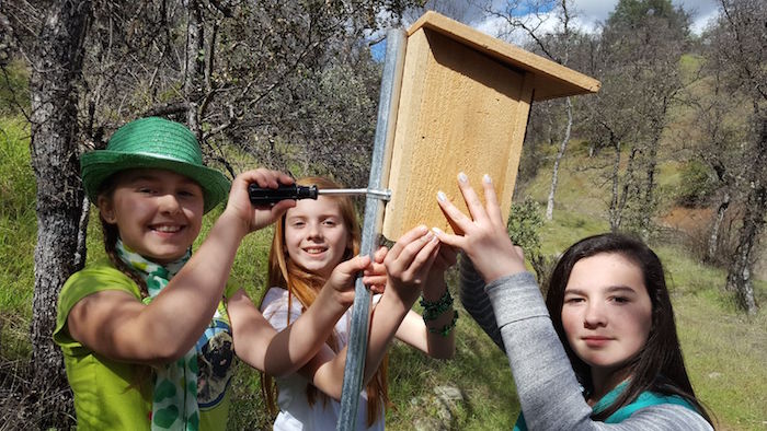 Girl Scouts Installing Bluebird Boxes