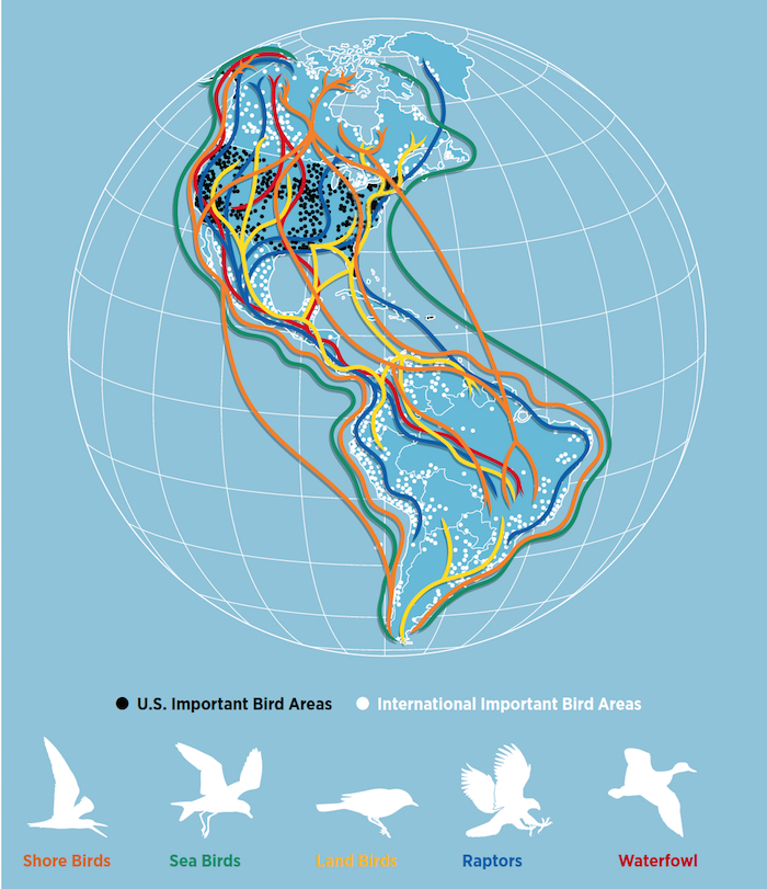 Important Bird Areas