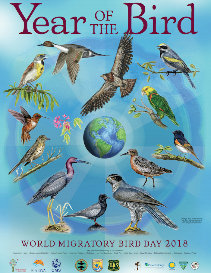 International Migratory Bird Day