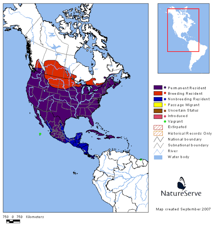 Mourning Dove Range