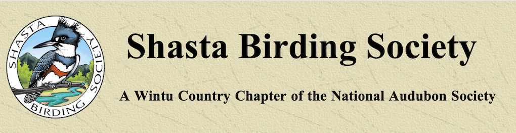 Shasta Birding Society